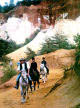 Andalucia Horseriding