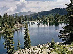 Pirin National Park