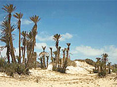 Boa Vista scenery
