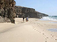 A Boa Vista turtle beach