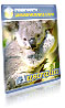 Australia Country Guide