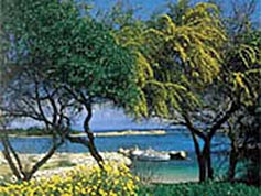 Protaras Area