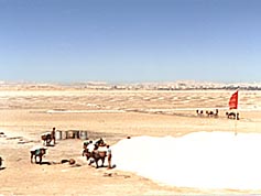 Salt Lake in Larnaca