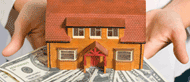 Property Search