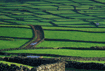 Land/Development Project Consultancy