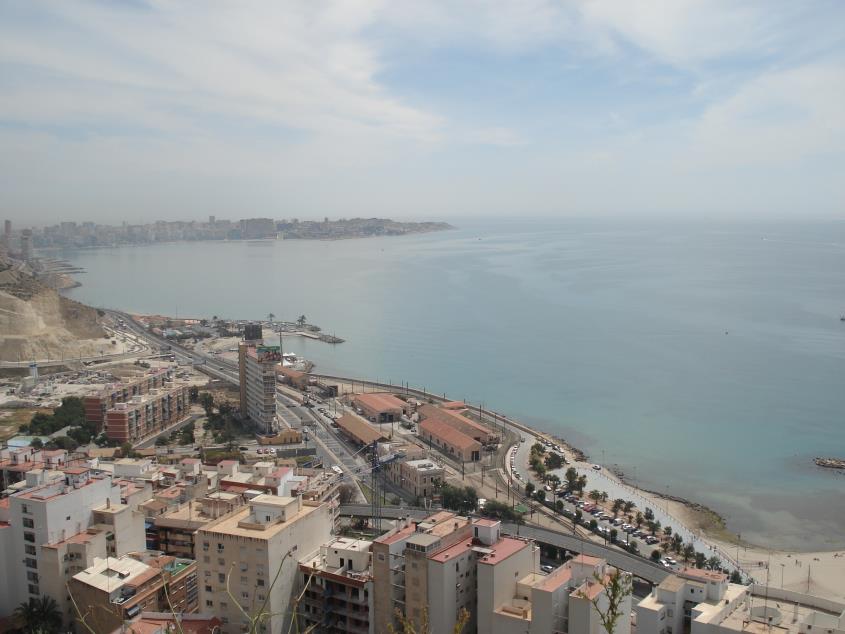 Alicante 'holding up well'