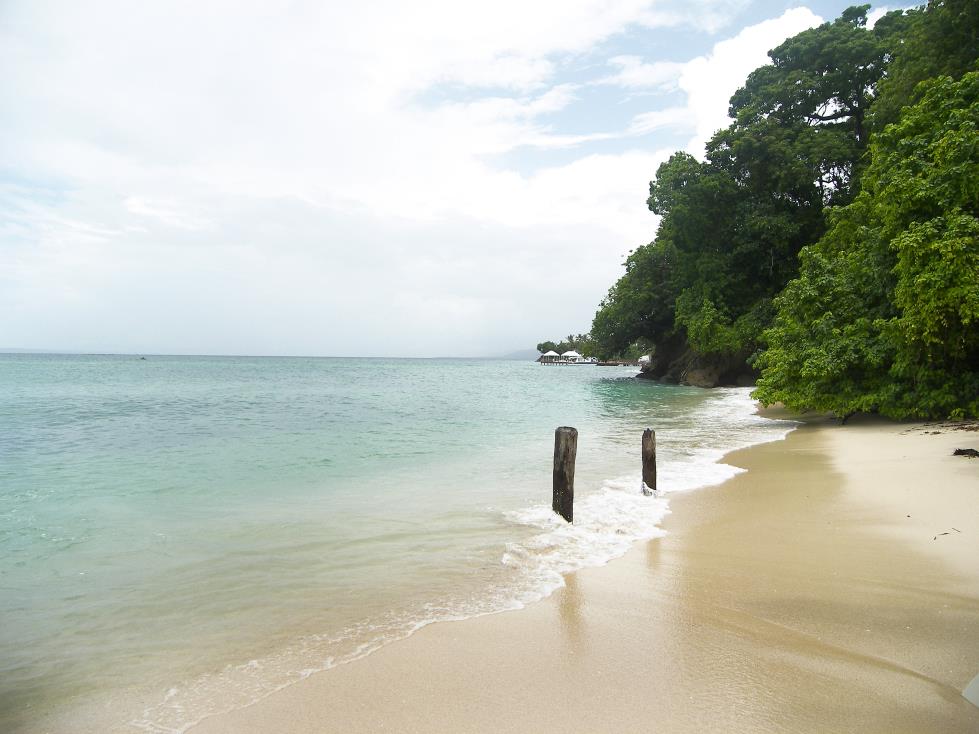 Dominican property market attracts tennis superstar