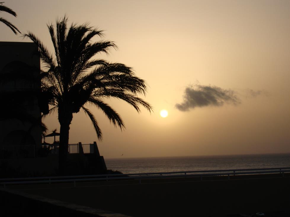 Fuerteventura 'attracting sun seekers'