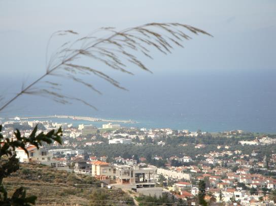Cyprus interest rates will soon fall, says governor