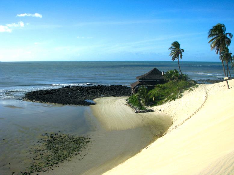 Brazil hailed as top destination