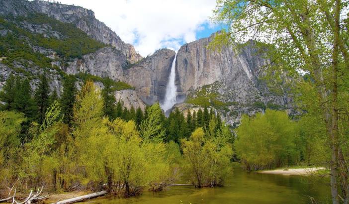 California sees property sales 'surge'