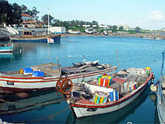 Bogaz Fishing Harbour