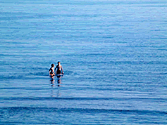 Properties for sale Calahonda, properties for sale in Calahonda, properties for sale Calahonda Spain, properties for sale in Calahonda Spain, properties for sale Calahonda Costa Del Sol, properties for sale in Calahonda Costa Del Sol, properties for sale Calahonda Southern Spain, properties for sale in Calahonda Southern Spain, Villas, Townhouses, Fincas, Apartments, Penthouses, inland properties, rural properties, coastal properties, buy, buy a, in, a, cheap, properties, inland, rural, coastal, 