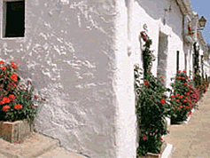 Properties for sale Coin Costa del Sol