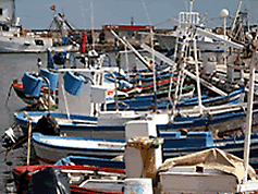 Property for sale in Estepona Spain