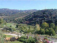 Property for sale Elviria Southern Spain