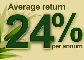 24% annual returns
